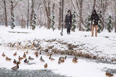 Прикрепленное изображение: WI6wKn1iC2o.jpg